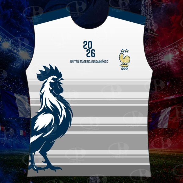 camiseta-seleccion-argentina-mundial-galeria-2 Camiseta Francia Mundial 2026 Personalizada | Diseño Conmemorativo